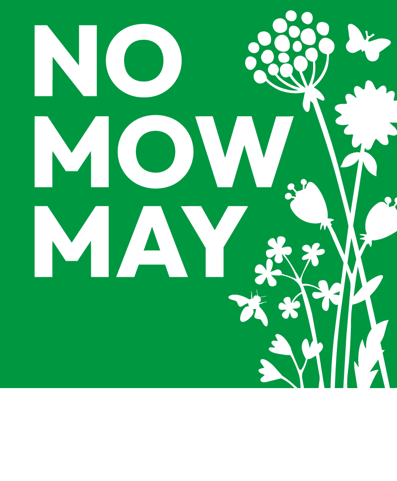 no-mow-may-logo